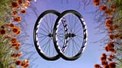 Miche Graff RD, Gravel-Laufradsatz,Titel,ADV