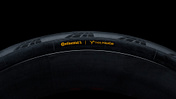 Collector's Edition Continental Grand Prix 5000 S TR,Tadej Pogacar,Reifen