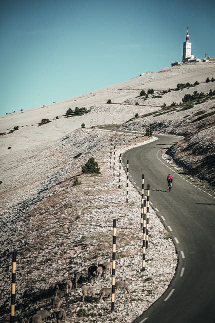 rb-radobike-passion-01-mont-ventoux-daniel-geiger-5 (jpg) rb-radobike-passion-01-mont-ventoux-daniel-geiger-5 (jpg)