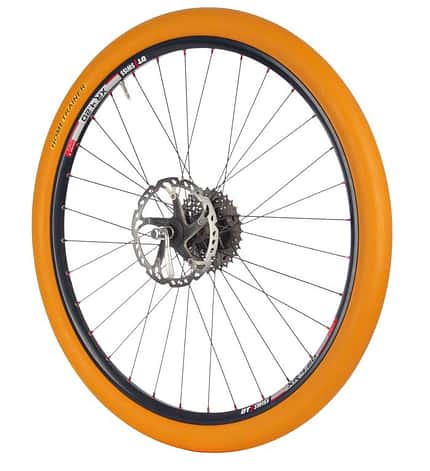 So macht Rollentraining richtig Spaß So macht Rollentraining richtig Spaß