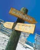mammoth