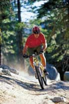 tahoe1 tahoe1