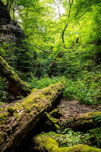 MTB-Touren im Thüringer Wald