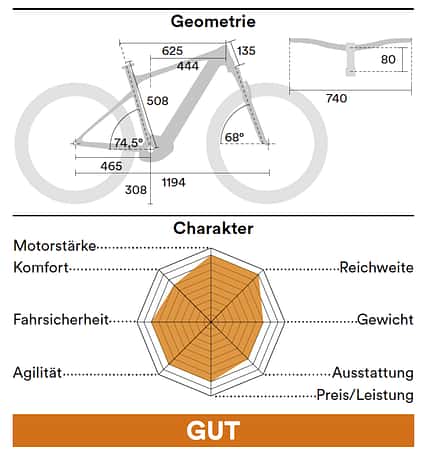 Einzeltest Stevens Geometrie, Charakter Einzeltest Stevens Geometrie, Charakter