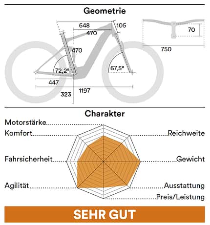 Einzeltest Trek E-Caliber Einzeltest Trek E-Caliber