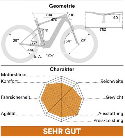 Ghost Path Riot LTD Geometrie Ghost Path Riot LTD Geometrie