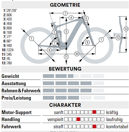 Light-E-MTBs Light-E-MTBs