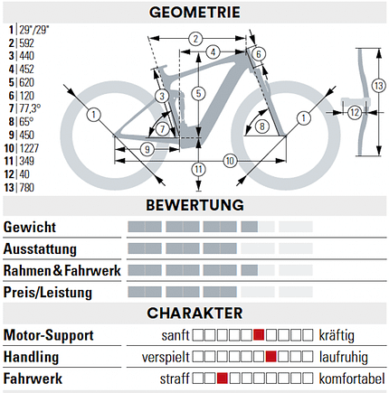 Light-E-MTBs Light-E-MTBs