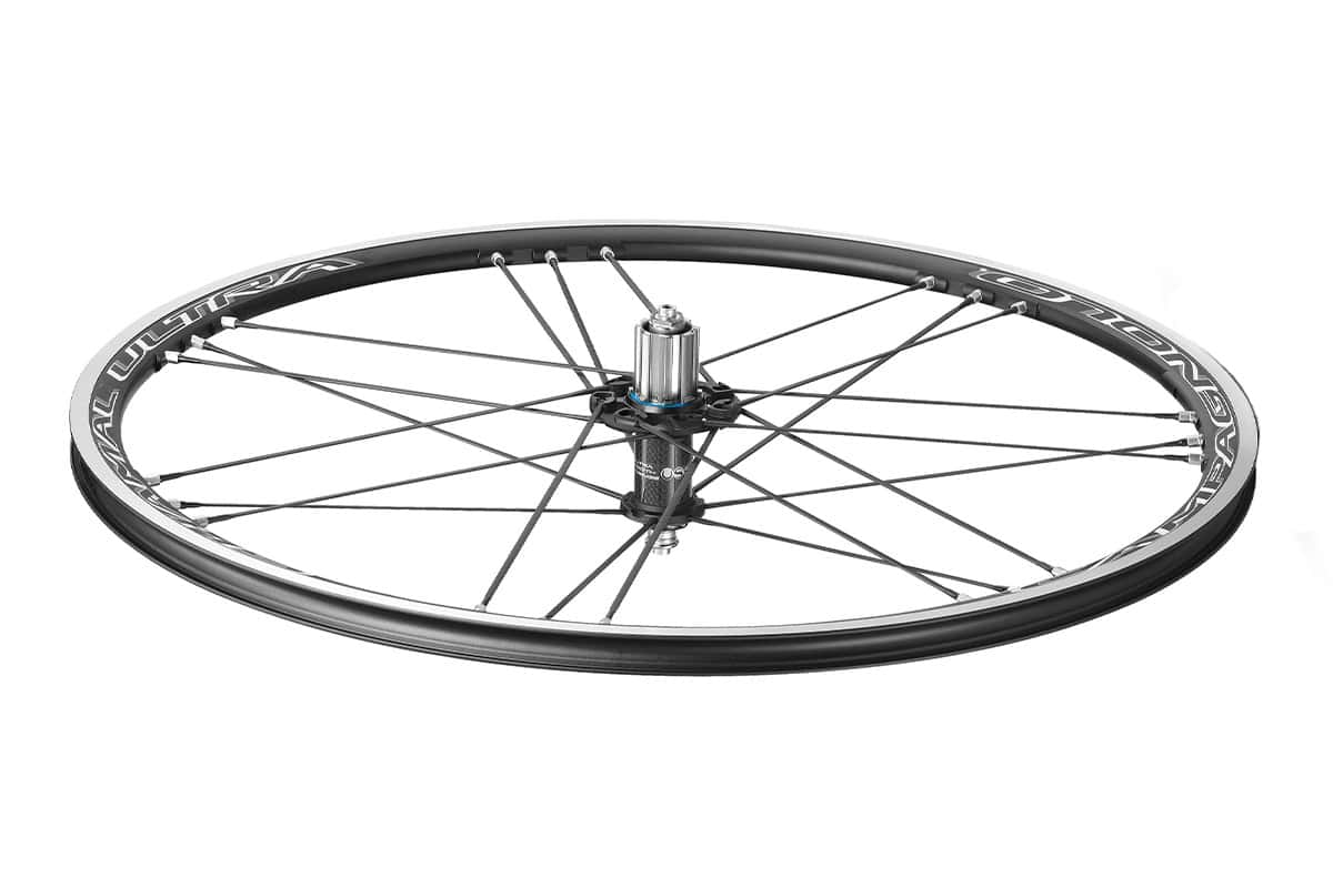 パーツ CAMPAGNOLO SHAMAL ULTRA DISC カンパニョーロ Campagnolo シャマル ウルトラ Shamal ULTRA DB