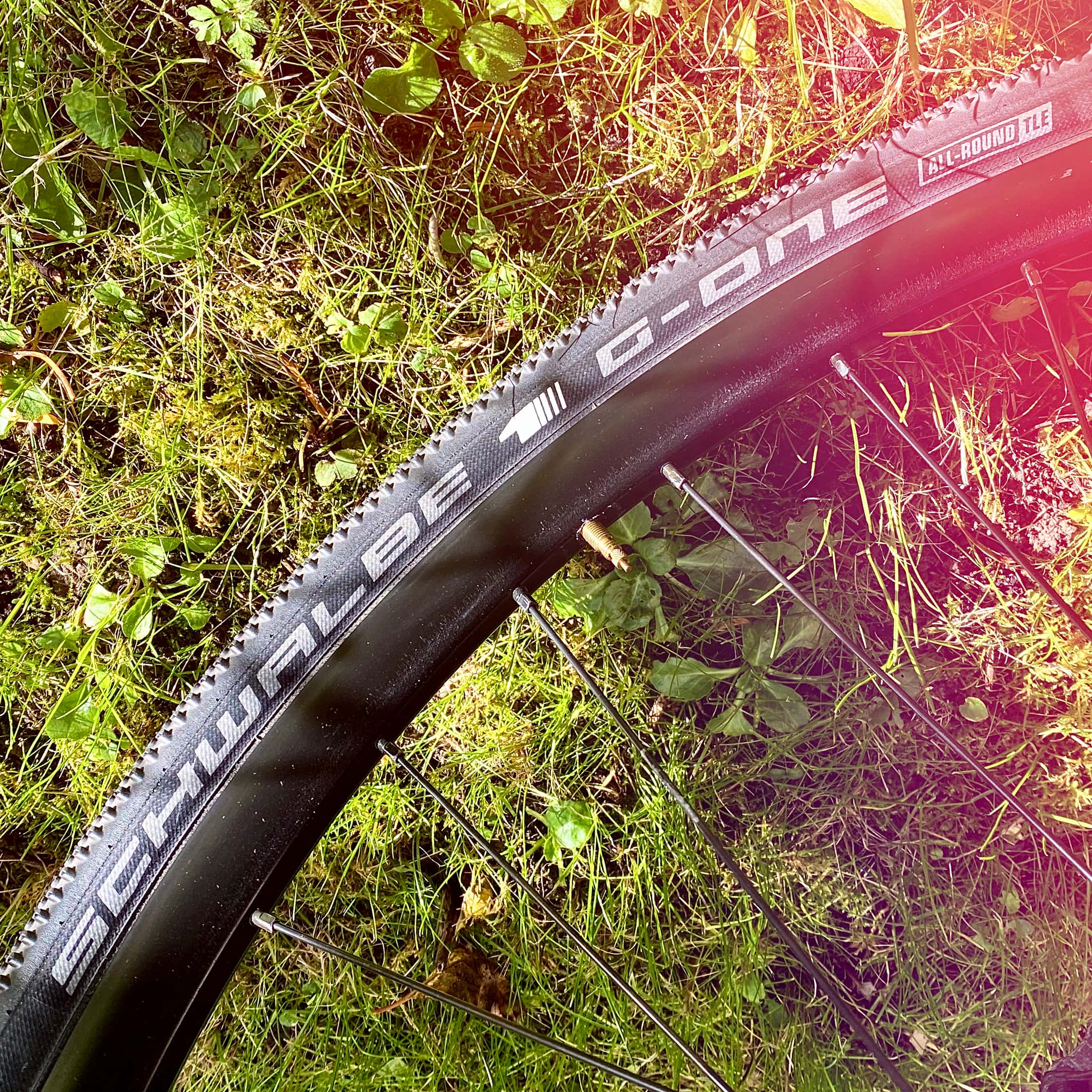Schwalbe G-One Allround Evo Faltreifen – 57-584 (27,5x2,25"), Super Ground