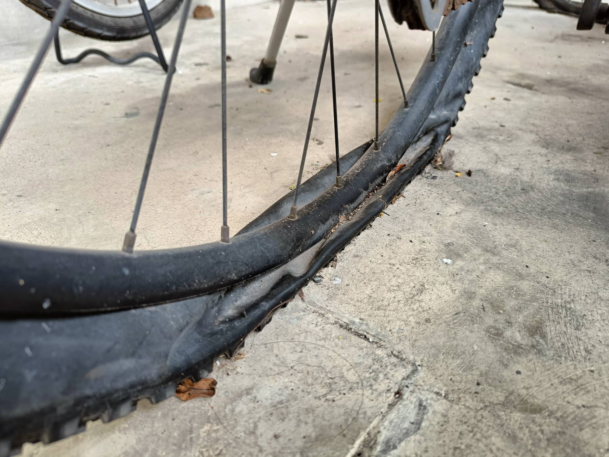 fizik rennrad sattel Teste den Fizik