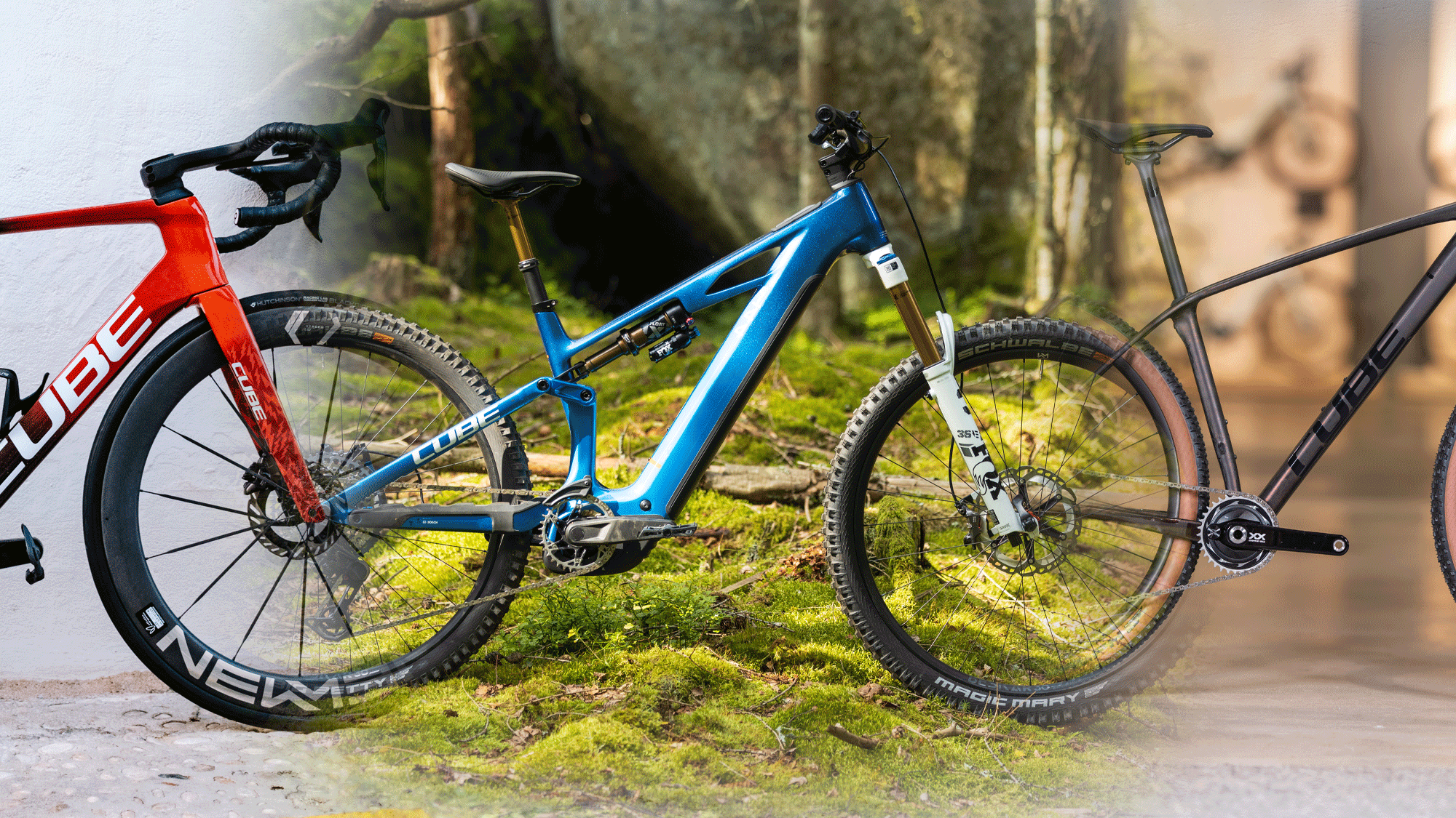 Der unscheinbare Fahrrad-Gigant: Warum die Marke Cube wirklich so  erfolgreich ist